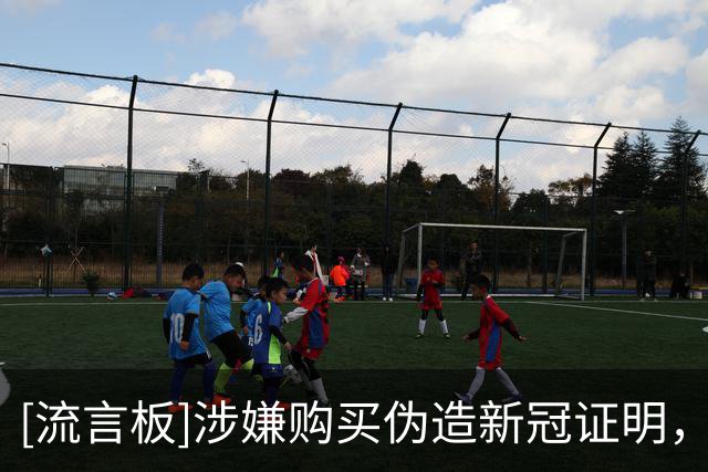 [流言板]涉嫌购买伪造新冠证明，瑞士官方：恩博洛退出本期国家队-国际足球-国际足球资讯-虎扑社区